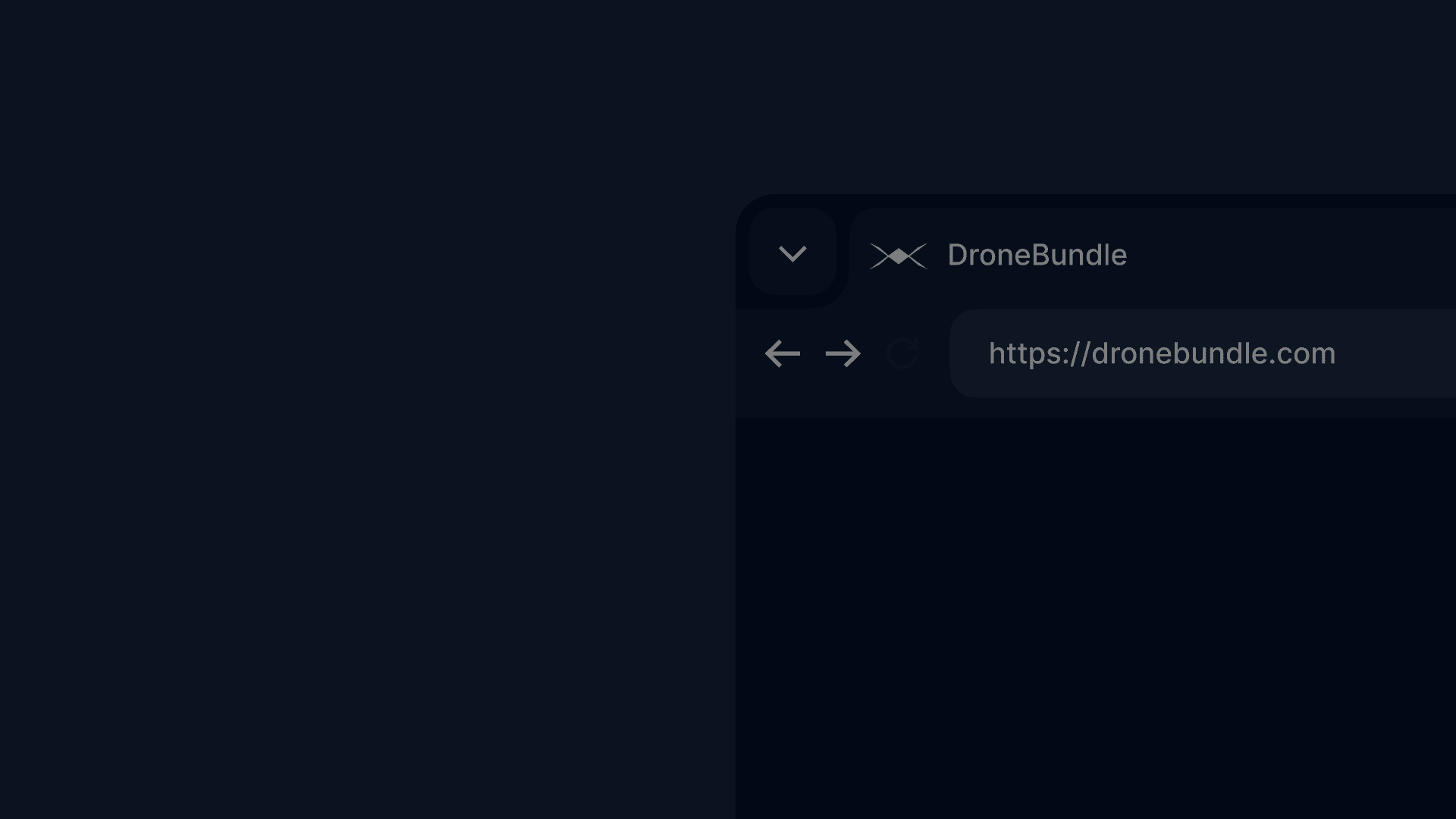 DroneBundle logo on a web browser mockup