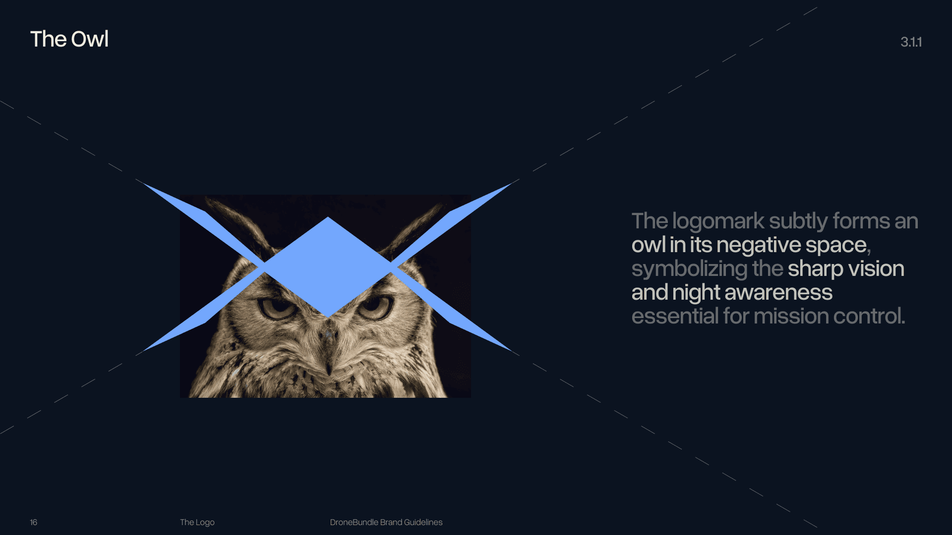 DroneBundle, branding